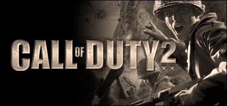 Call Of Duty 2 poster